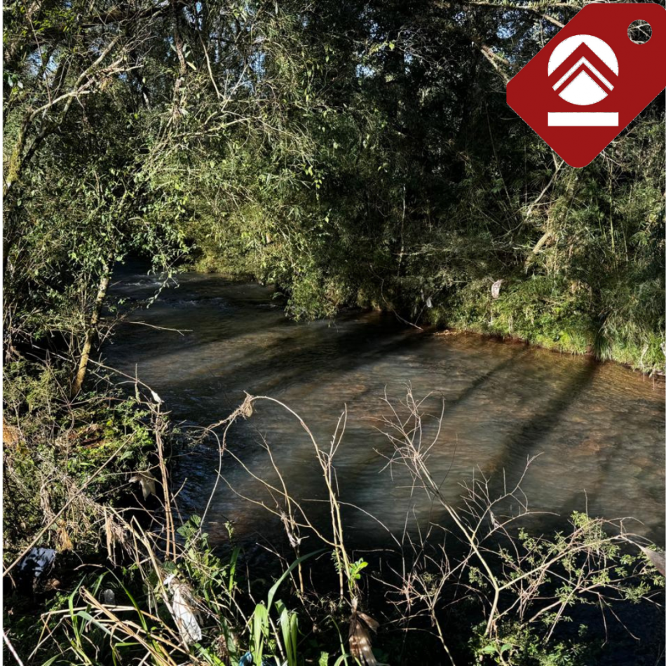 Se vende chacra de 35 hectareas