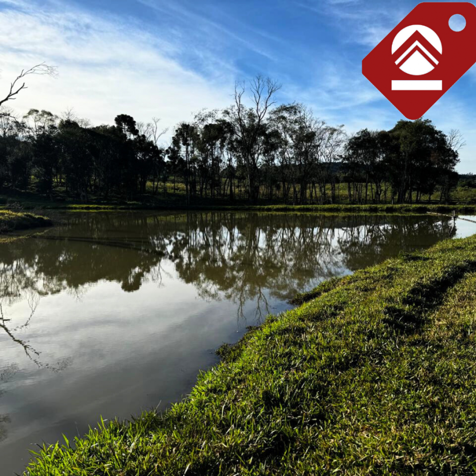 Se vende chacra de 35 hectareas