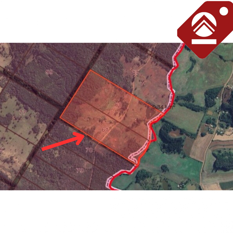 Se vende chacra de 35 hectareas