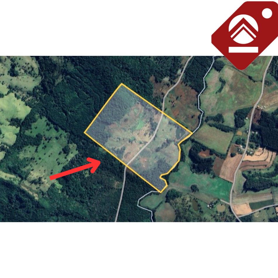 Se vende chacra de 35 hectareas