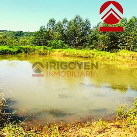 Chacra de 28 hectareas