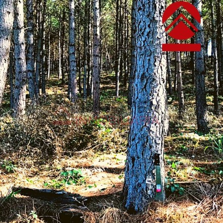 Chacra de 28 hectareas