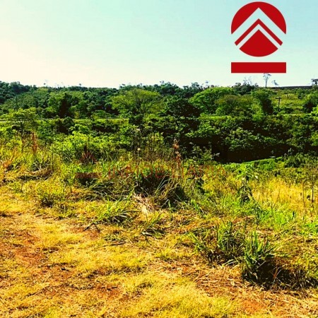 Chacra de 28 hectareas