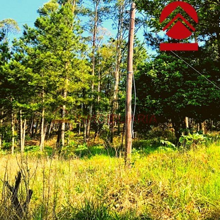 Chacra de 28 hectareas