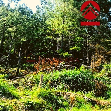 Chacra de 28 hectareas