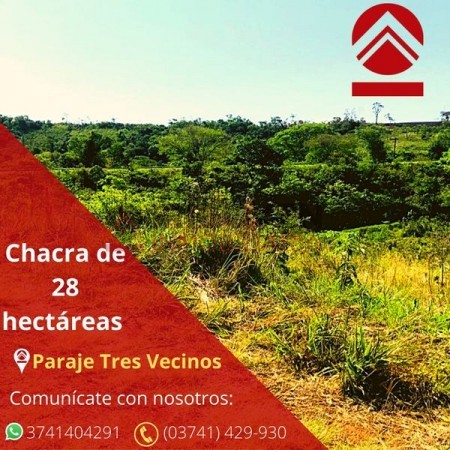 Chacra de 28 hectareas