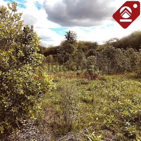 Chacra de 123 hectáreas