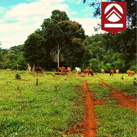 Chacra de 1892 hectáreas