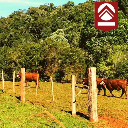 Chacra de 1892 hectáreas