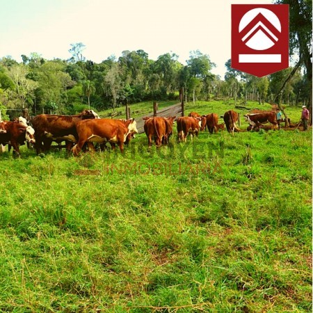 Chacra de 1892 hectáreas