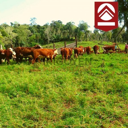 Chacra de 1892 hectáreas