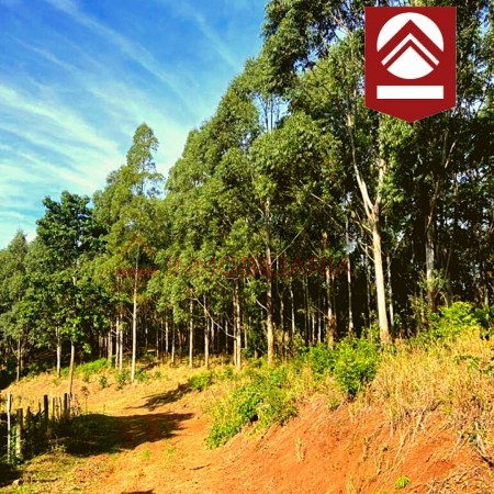 Chacra de 1892 hectáreas