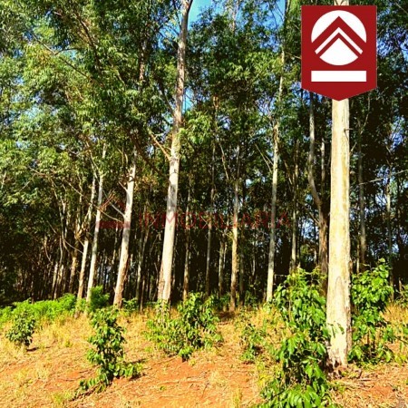 Chacra de 1892 hectáreas