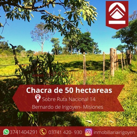 Chacra de 50 hectareas