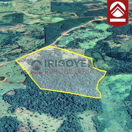 Chacra de 50 hectareas