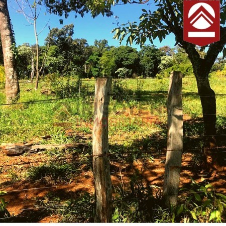 Chacra de 50 hectareas