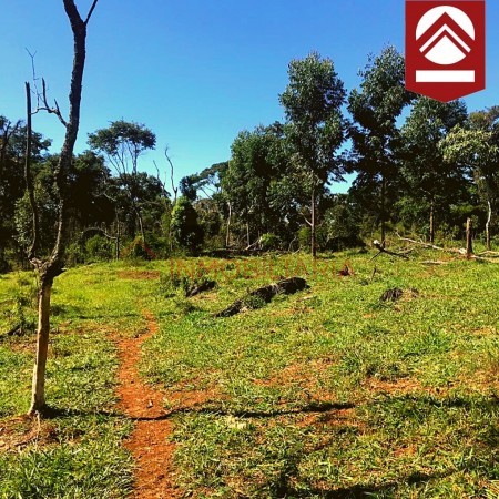 Chacra de 50 hectareas