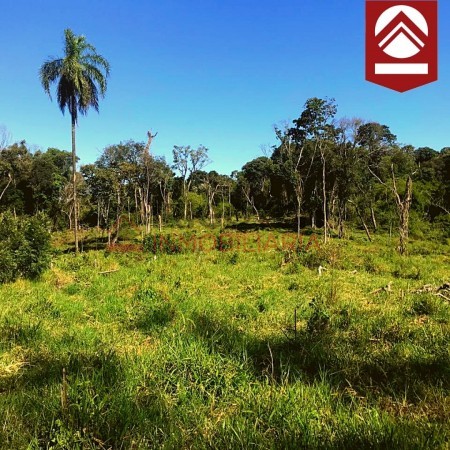 Chacra de 50 hectareas