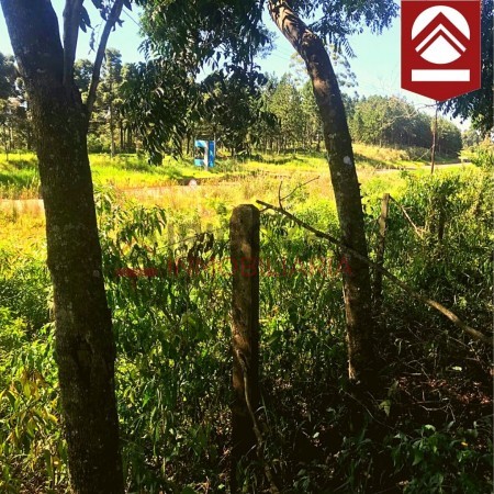 Chacra de 50 hectareas