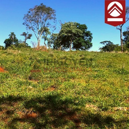 Chacra de 50 hectareas