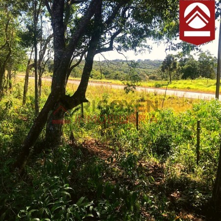 Chacra de 50 hectareas