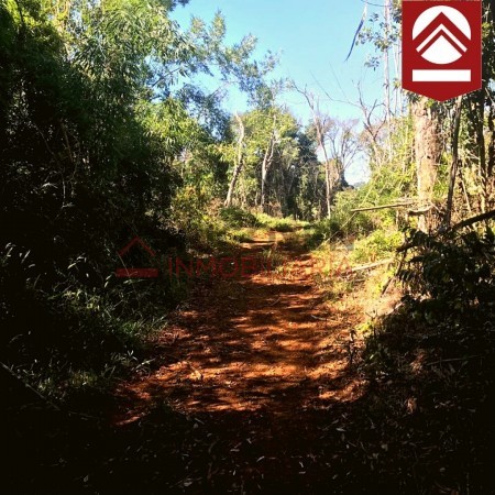 Chacra de 50 hectareas