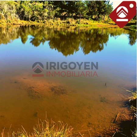 Chacra de 111 hectáreas 