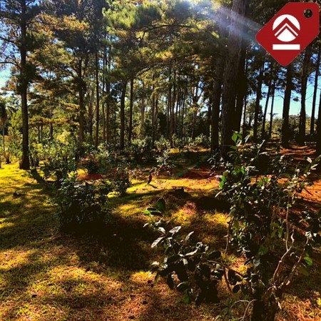 Chacra de 111 hectáreas 