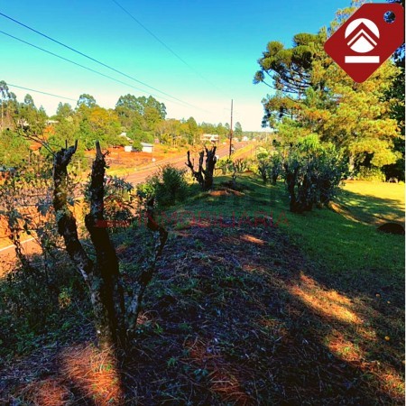 Chacra de 111 hectáreas 