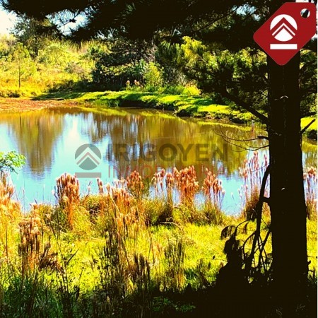 Chacra de 111 hectáreas 