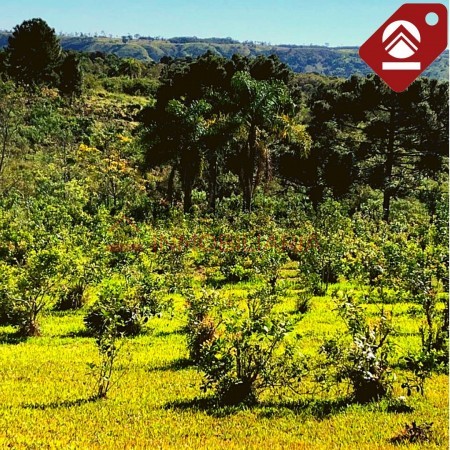 Chacra de 111 hectáreas 