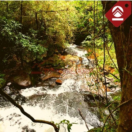 Chacra de 111 hectáreas 