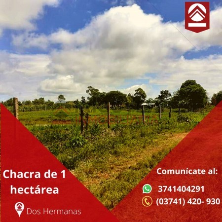 Chacra de 1 hectárea