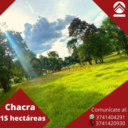 Chacra de 15 hectáreas