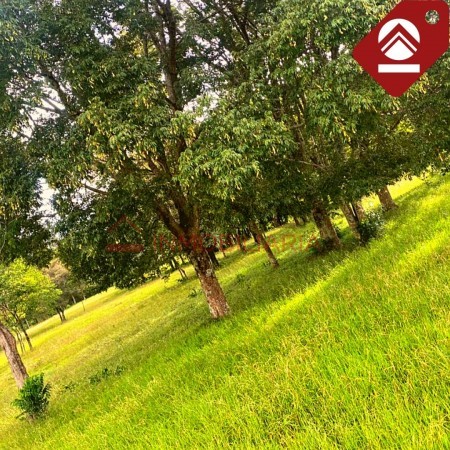 Chacra de 15 hectáreas