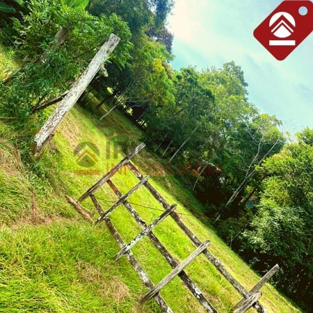 Chacra de 15 hectáreas