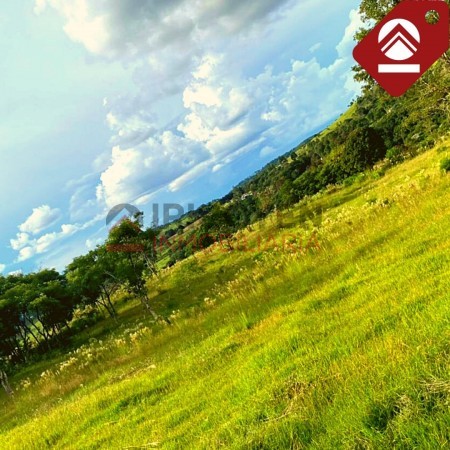 Chacra de 15 hectáreas