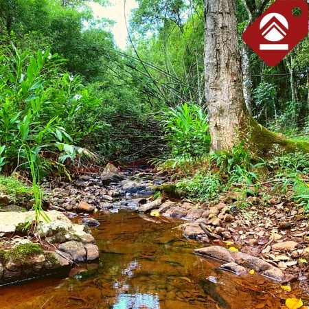 Chacra de 15 hectáreas