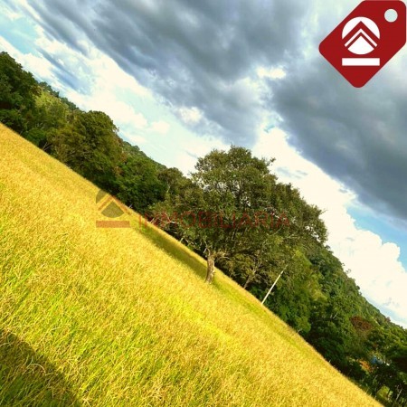 Chacra de 15 hectáreas