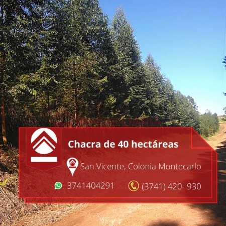 Chacra de 40 hectáreas