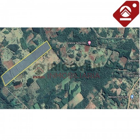 Chacra de 40 hectáreas