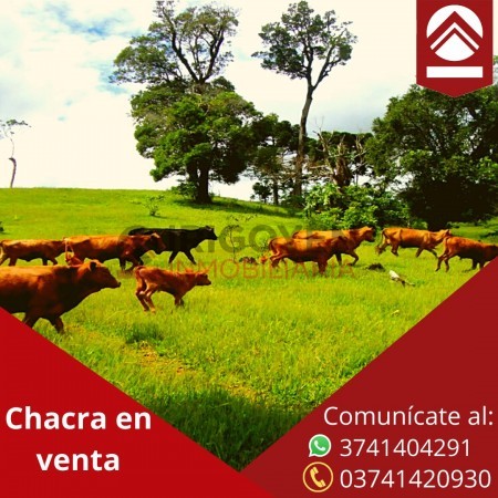 Chacra de 376 hectáreas