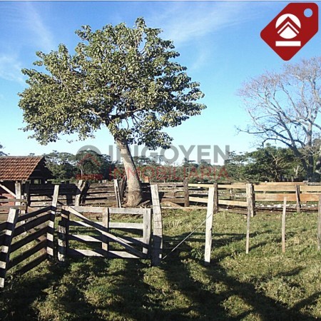 Chacra de 376 hectáreas