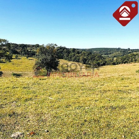 Chacra de 376 hectáreas