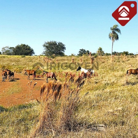 Chacra de 376 hectáreas