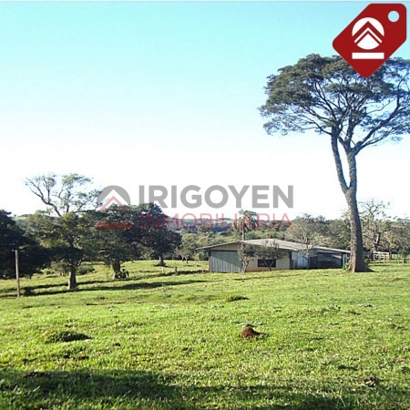 Chacra de 376 hectáreas