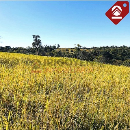 Chacra de 376 hectáreas