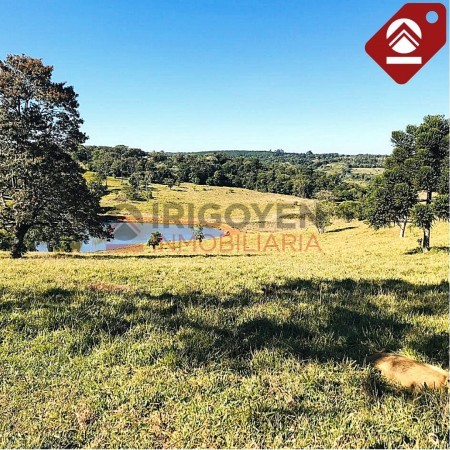 Chacra de 376 hectáreas