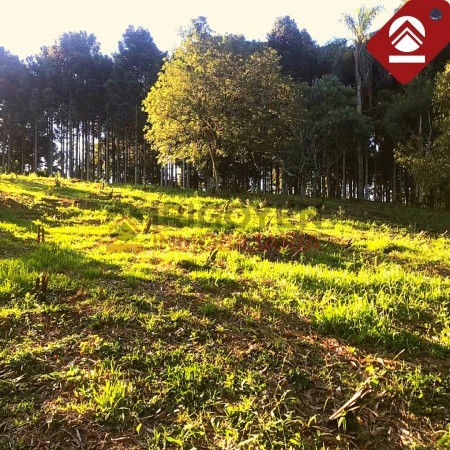 Terreno de 1 hectáreas