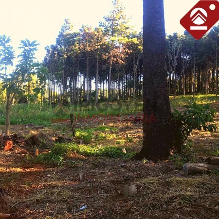 Terreno de 1 hectáreas